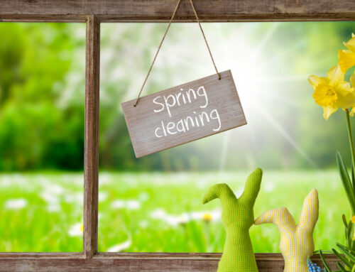 Spring Into Action: Why You Should Choose an Eco-Friendly House Cleaning Service