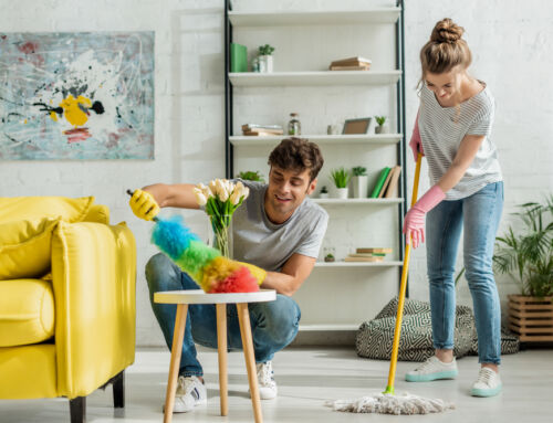 Eco-Friendly Cleaning Solutions for Tacoma Homes: Why Tidy Vibe Leads the Green Revolution